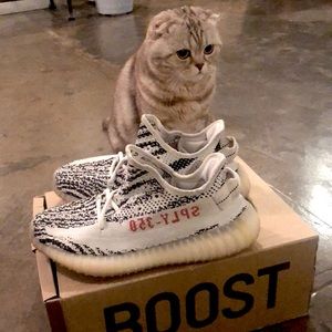Yeezy Boost 350 v2